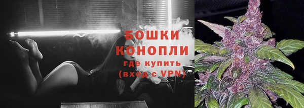 мяу мяу мука Волоколамск