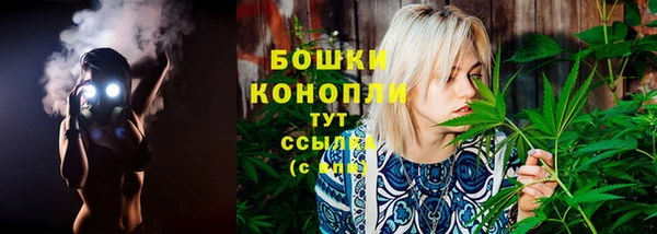 мяу мяу мука Волоколамск