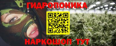 ГАЛЛЮЦИНОГЕННЫЕ ГРИБЫ Берёзовский