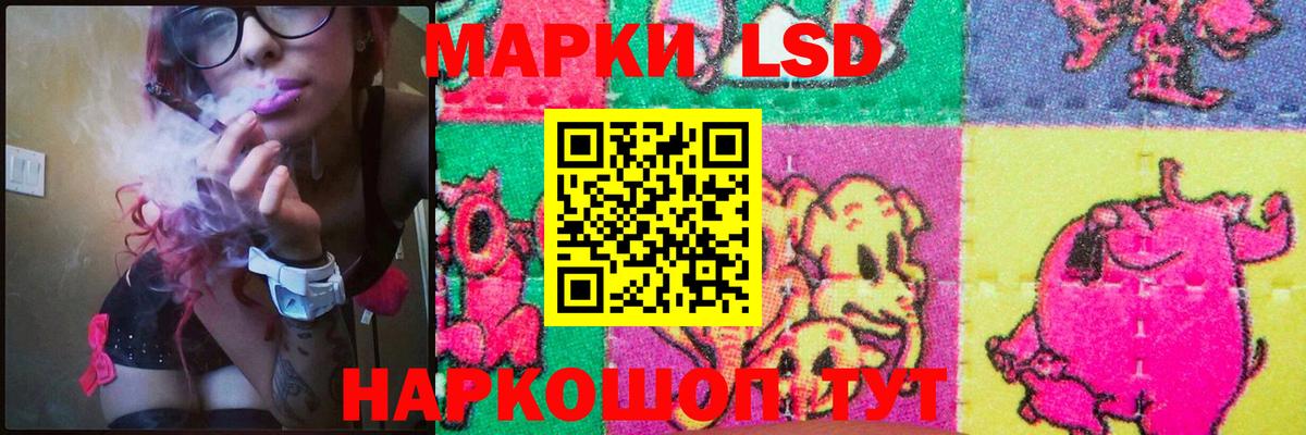Зерноград  Лсд 25 экстази  Лсд 25 экстази кислота  Вход с VPN  Лсд 25 экстази кислота 