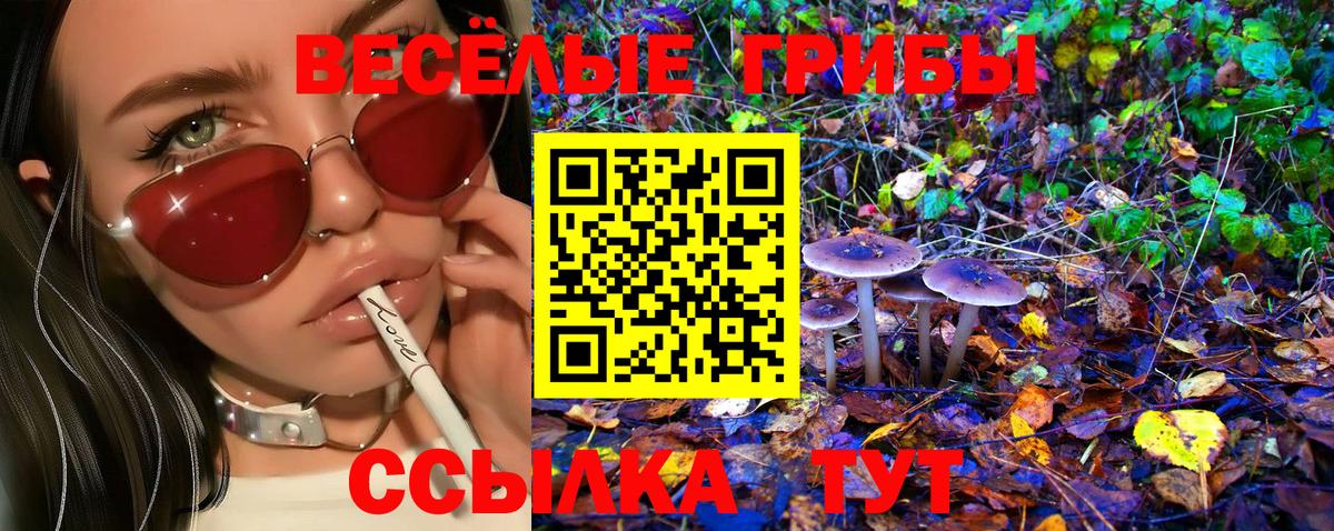 Галлюциногенные грибы Cubensis  наркота  Зерноград  Псилоцибиновые грибы GOLDEN TEACHER 