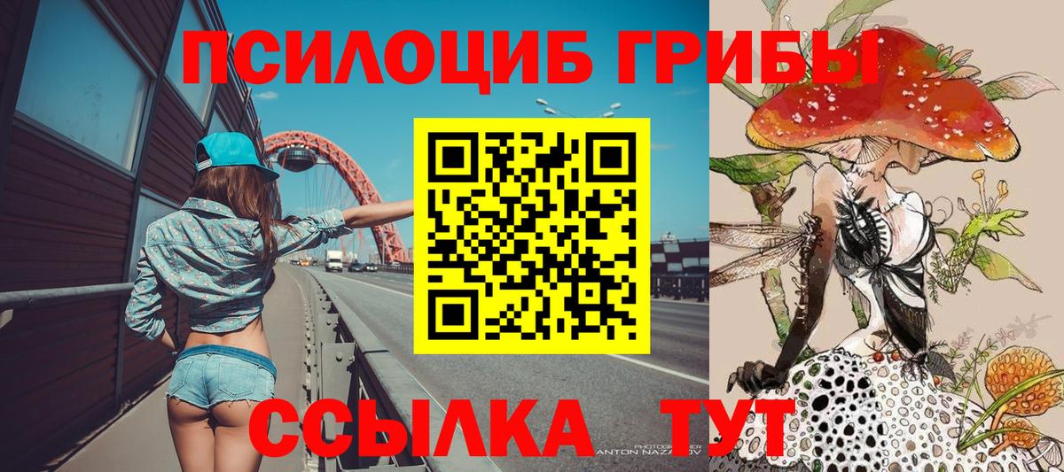 Псилоцибиновые грибы MAGIC MUSHROOMS Зерноград