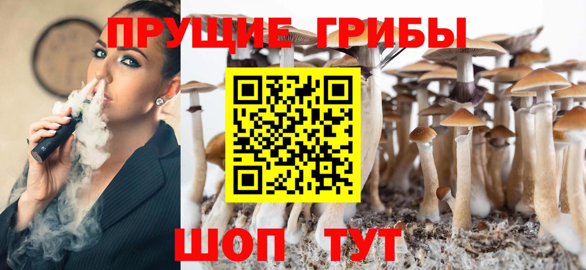 Зерноград  Псилоцибиновые грибы Cubensis  Вход с VPN  Псилоцибиновые грибы Psilocybe 