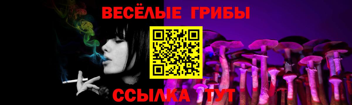 Псилоцибиновые грибы Cubensis Зерноград